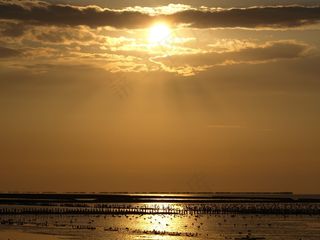 日落，瓦登海，瓦特，天空，海，海滩，北海