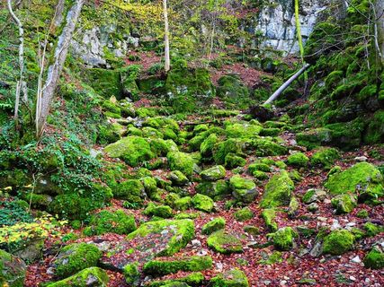 斜坡，沃尔登，石头，Bemoost，埃尔萨布罗勒，洞穴