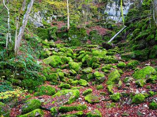 斜坡，沃尔登，石头，Bemoost，埃尔萨布罗勒，洞穴