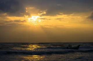 天空,海洋,湖泊,霞光,树,日落时的渔船...