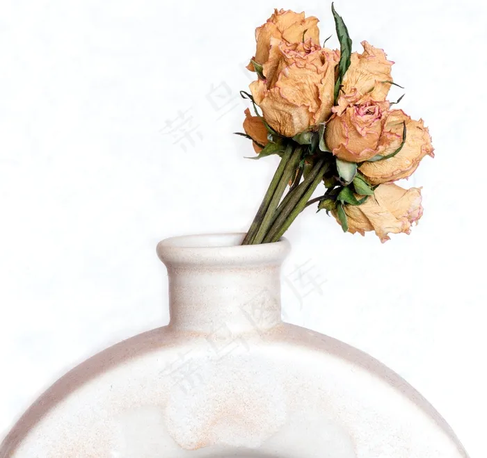 干花，玫瑰，花束，花瓶
