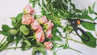 生活，美女，场景，花店，艺术，鲜花，植物群