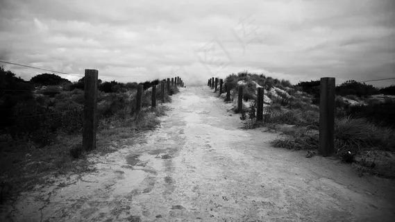 路径，径，海滩，道路，徒步旅行，漫步，步行，一步