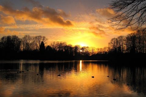 日落，傍晚的天空，景观，云，秋季，水