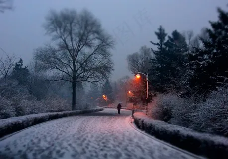 雪,摄影,雪路,路径,方式 雪,摄影,雪路,路径,方式