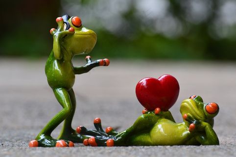 青蛙，爱情，耳机，音​​乐，情人舞，姿势