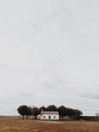 还我一个家,天空,竹制凉席,牦牛,居民楼,云农村房子农村