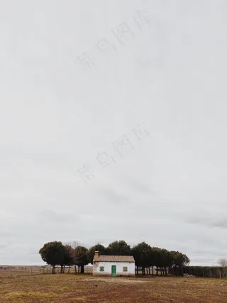 还我一个家,天空,竹制凉席,牦牛,居民楼,云农村房子农村