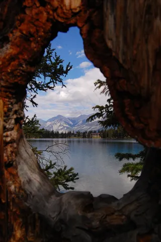 湖，焦点，夏天，反射，视觉