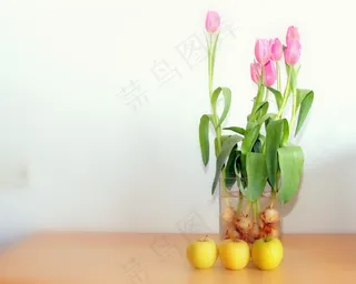 苹果，粉红色，郁金香，春天，盛开，水果，花