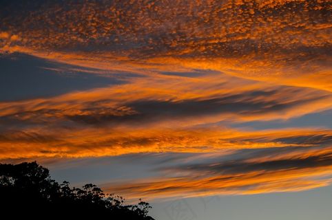 天空，云，日落，橙色，金，地平线，树木