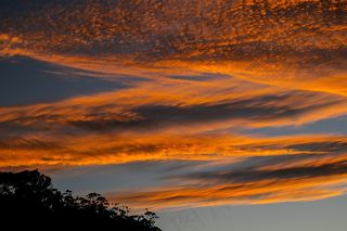 天空，云，日落，橙色，金，地平线，树木