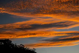 天空，云，日落，橙色，金，地平线，树木