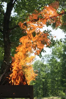 烧烤炉，火，火焰，森林，热，燃烧，火焰