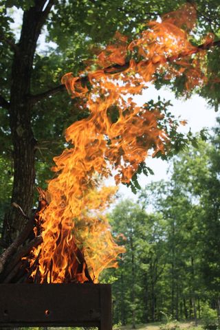 烧烤炉，火，火焰，森林，热，燃烧，火焰