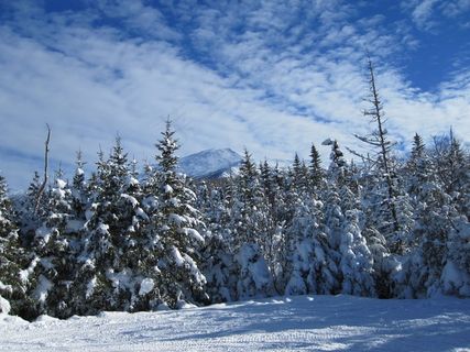冰雪,山峦,树,天空,风景,雪树冬季森林