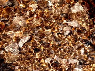 海，海洋，海滩，卵石，沙，假期，透明度