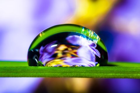 一滴水，滴水，草叶，开花，盛开