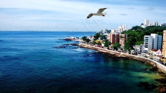 3月，海洋，海鸥，文学，景观，贝拉马尔