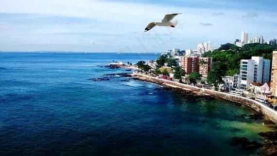 3月，海洋，海鸥，文学，景观，贝拉马尔