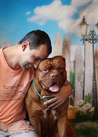 狗，男人，爱情，Dogue De Bordeaux