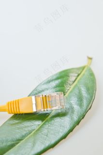 网络电缆，Rj45，跳线，网络跳线