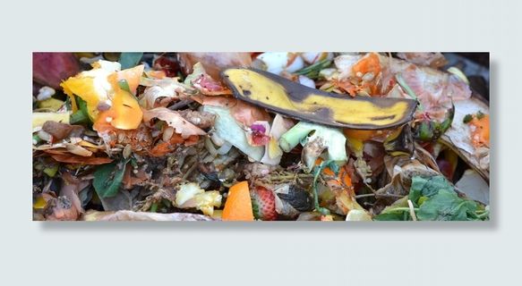 堆肥，果蔬废料，堆肥