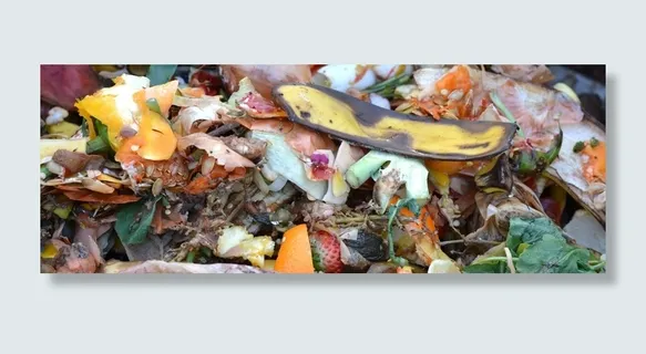 堆肥,果蔬废料,堆肥 堆肥,果蔬废料,堆肥