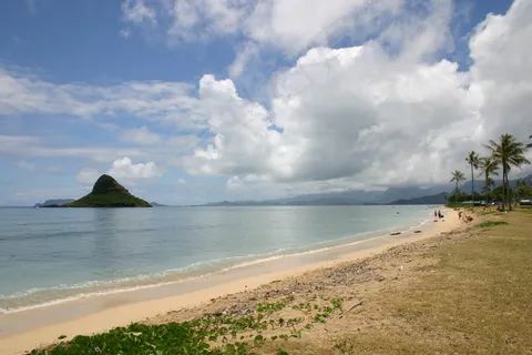 夏威夷,海滩,海岸,海洋,大海,棕榈,旅行,夏天 夏威夷,海滩,海岸,海洋,大海,棕榈,旅行,夏天