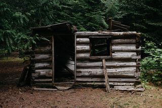 生活，美女，场景，机舱，树林，森林，庇护