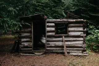 生活，美女，场景，机舱，树林，森林，庇护