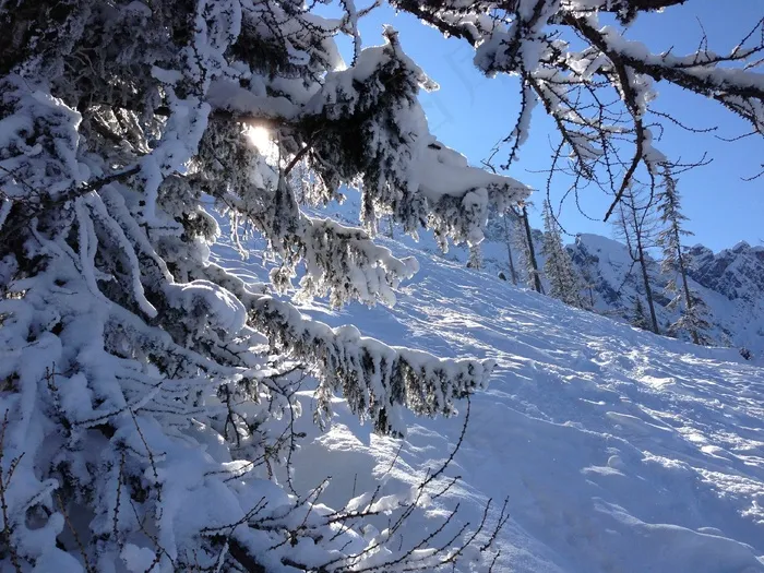 冬季，滑雪游览，山脉，白色，滑雪