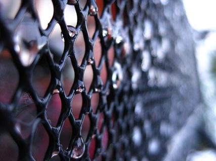 滴灌，冻结，网格，黑色，背景