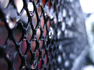 滴灌，冻结，网格，黑色，背景