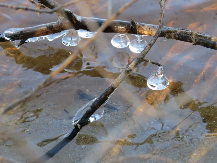 冰，冻结，池塘，弗罗斯特，冰冷，天气，冬冬季，外