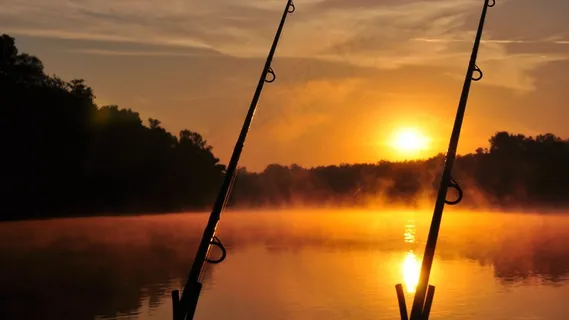 黎明，河流，夏天，德拉瓦