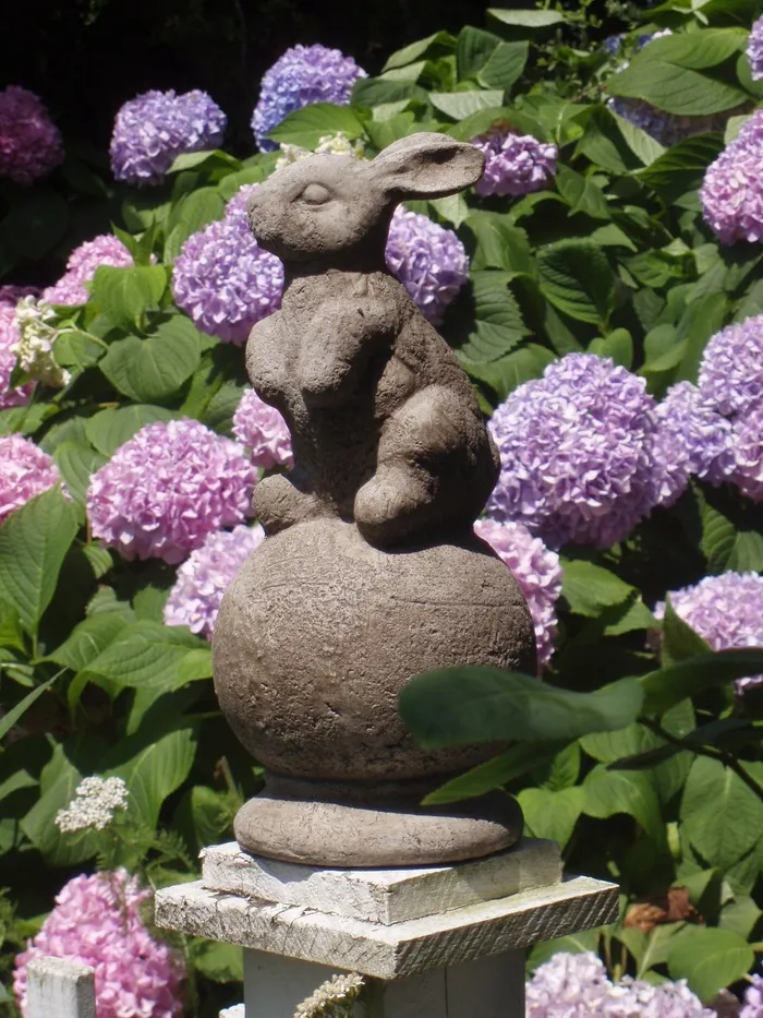 花，花园，雕像，性质，春天，夏天，花的
