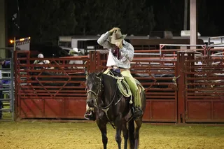 牛仔，牛仔竞技表演，马，帽子