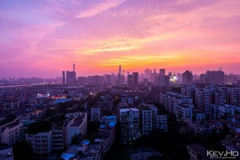 IMG_8005 IMG_8005