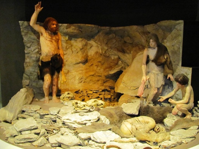 史密森尼国家自然历史博物馆041