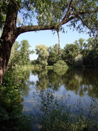 湖泊风景，沉默，波科伊，夏天，树木，性质，反射