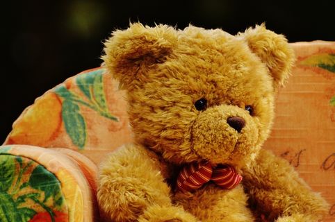 熊，沙发，熊，甜，可爱，毛绒，泰迪，可笑