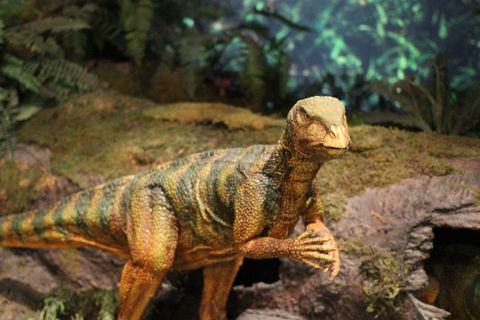 恐龙，动物园，侏罗纪，爬行动物