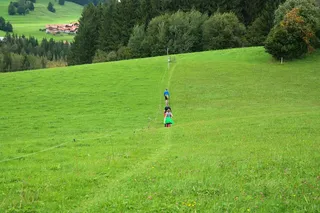 流浪者，远足，报道，绿色，多汁，路径，步行