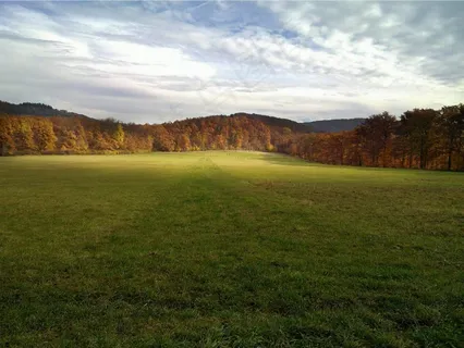 景观，自然，天空，田野，草地，森林