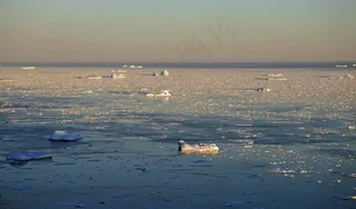 格陵兰岛，梅德格拉斯，北极圈，冰，冰山