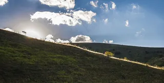 日落，天空，光，颜色，自然，太阳，夏天