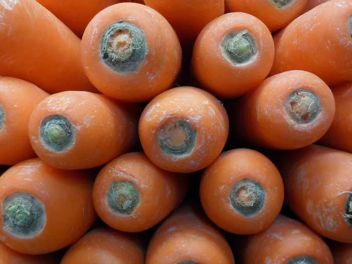 胡萝卜，蔬菜，新鲜，食品，花园，健康