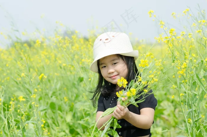 小，花改革，场，女孩，年轻，花