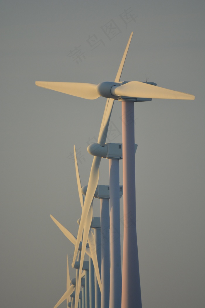 大自然，风车，荷兰，风能，意见